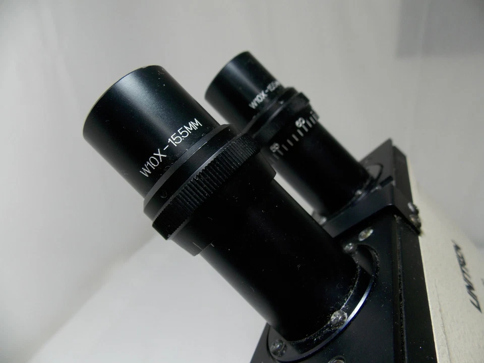 s-l960 (1)